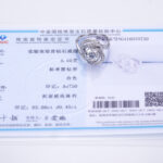 MSR-1613 vintage inspired - 6